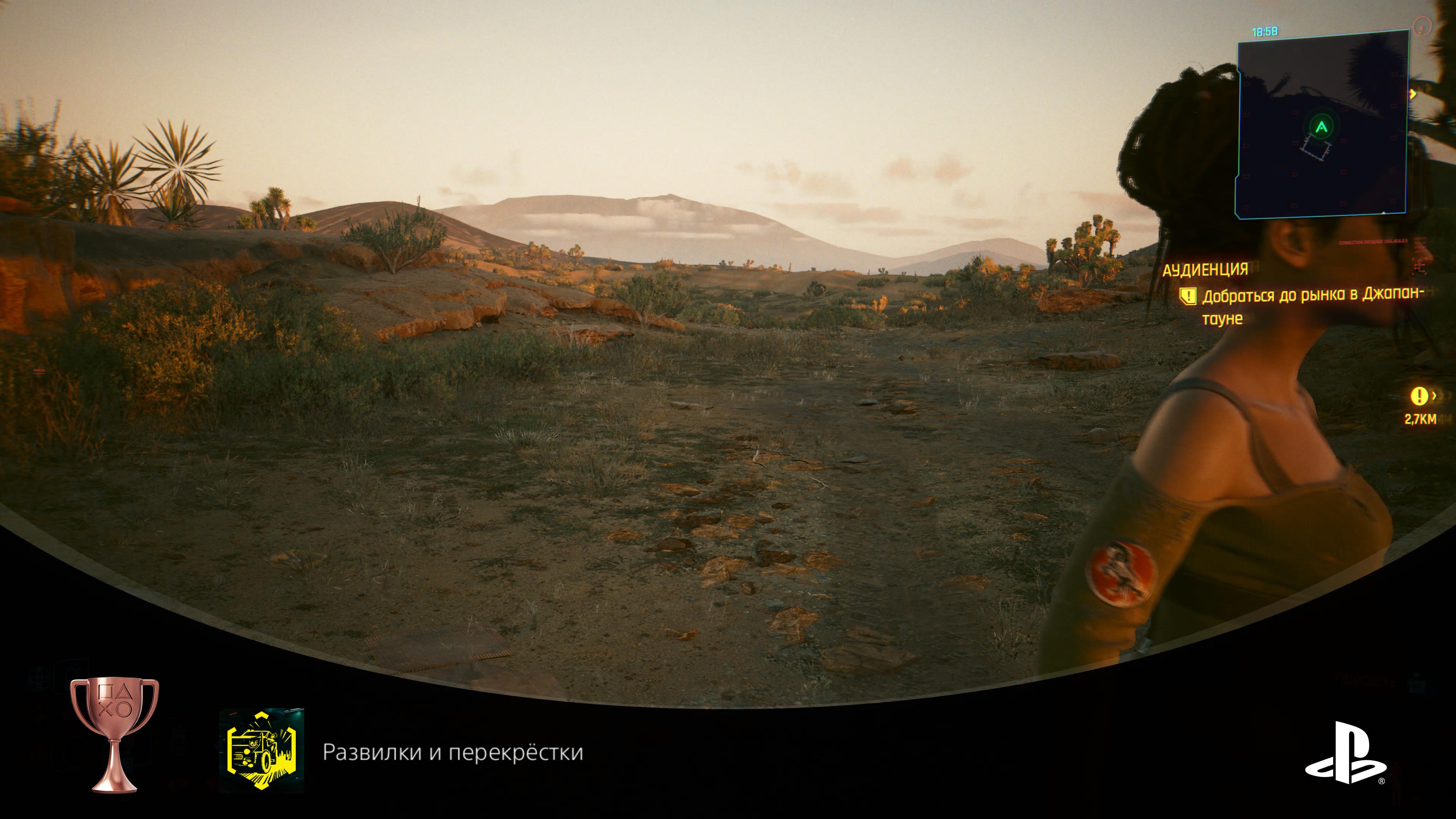 Life of the Road